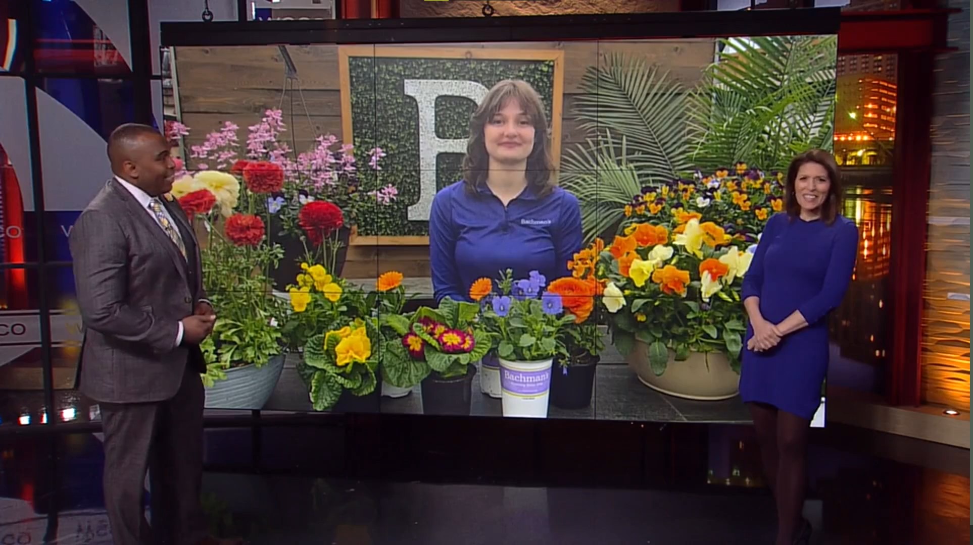 Beautiful Flower Delivery in Minneapolis Bachman's Floral, Home and