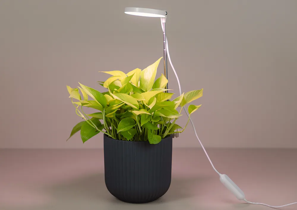 Shop Seed Starting Supplies And Lighting | Bachman's