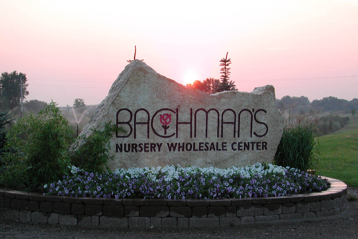 Bachman S Lyndale Garden Center Florist Mn Plant Store Location