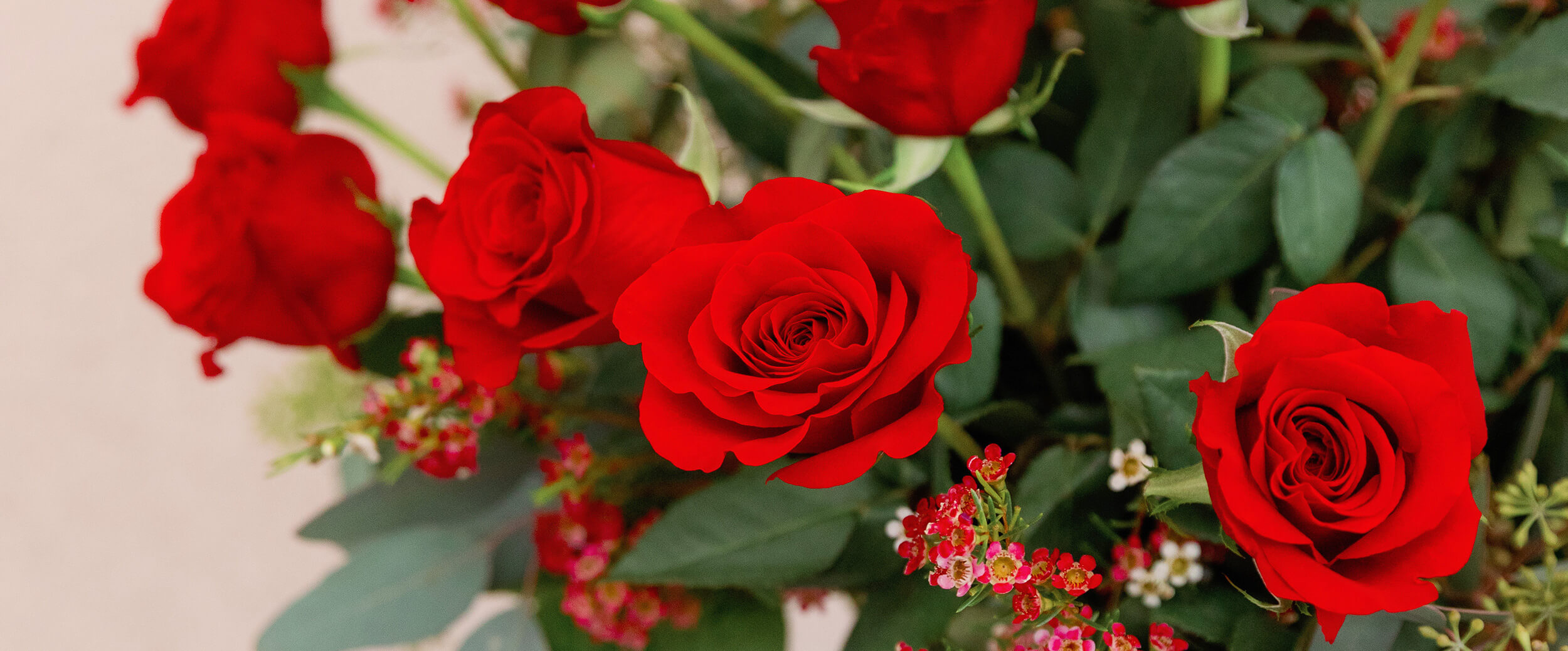 Minneapolis Flower Delivery Bachman's Floral, Home and Garden