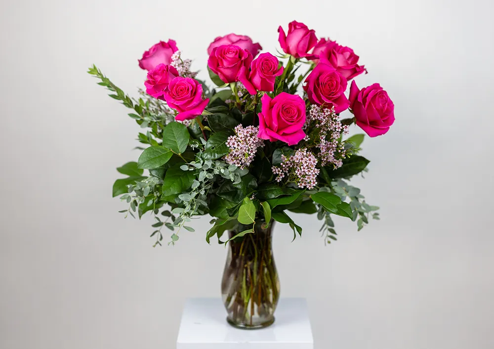 rose おまとめ同梱 Shop Hot Pink Dozen Roses for Delivery | Bachman's Minneapolis