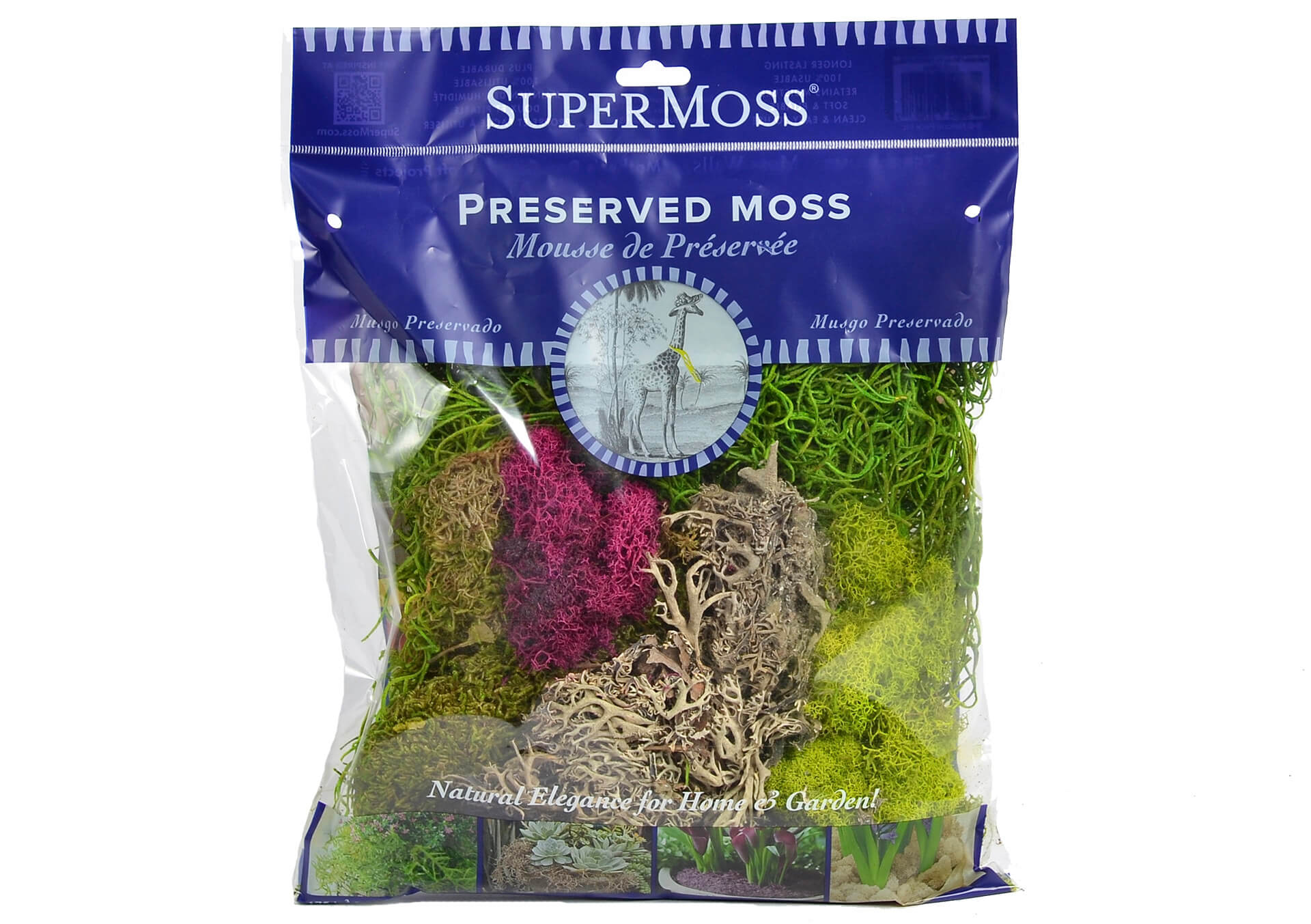 Indoor Plant Accessories for Sale in Minnesota at Bachman's