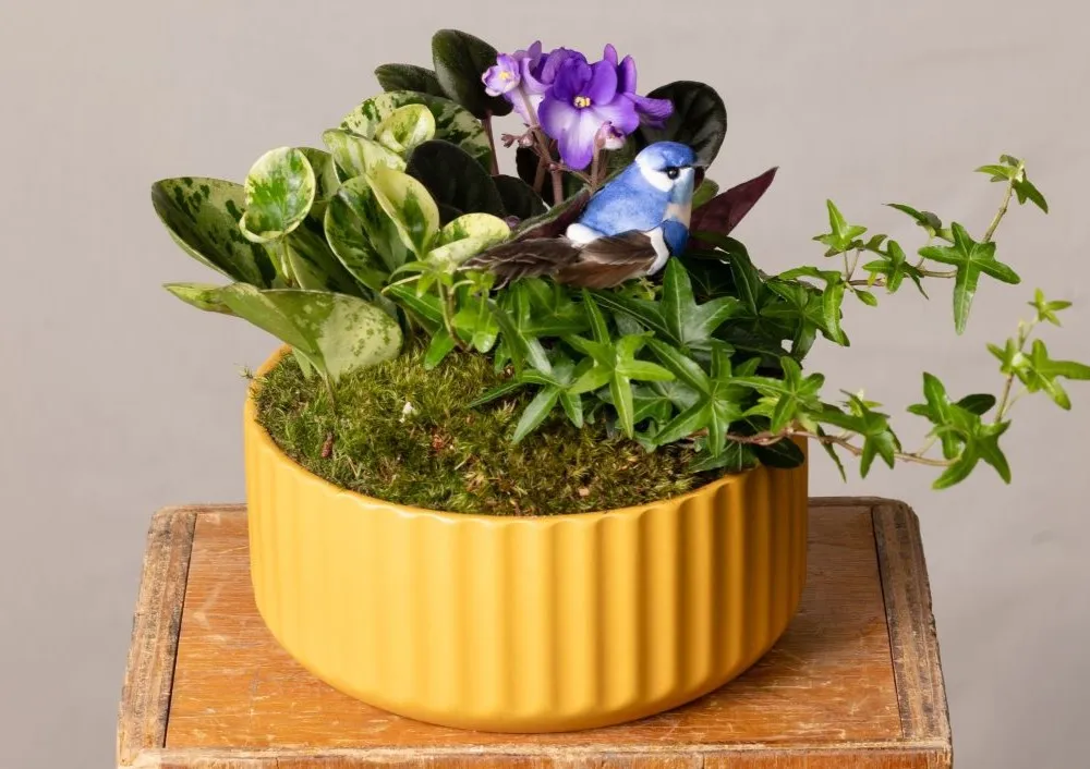 Specialty Planters & Baskets | Bachman's
