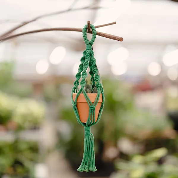 Mini Woven Plant Hanger, Green