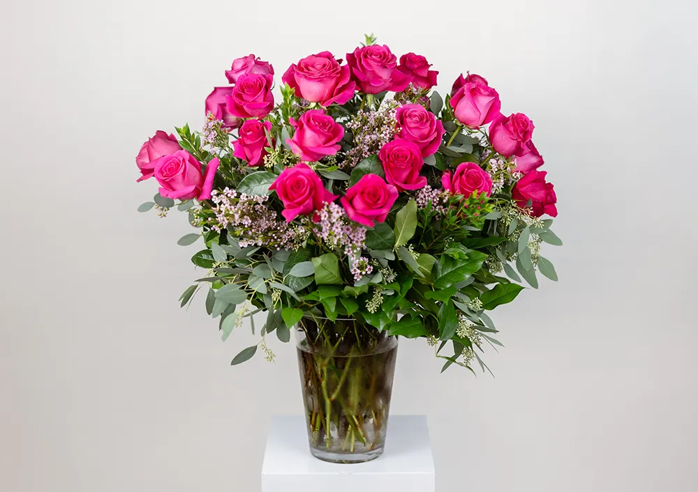 Shop Hot Pink Two Dozen Roses for Delivery | Bachman's Minneapolis