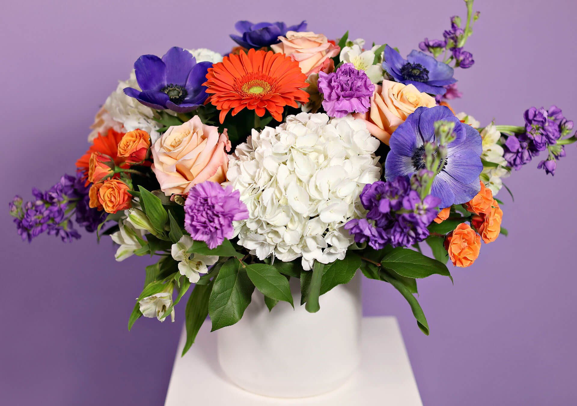 Beautiful Flower Delivery in Minneapolis Bachman's Floral, Home and