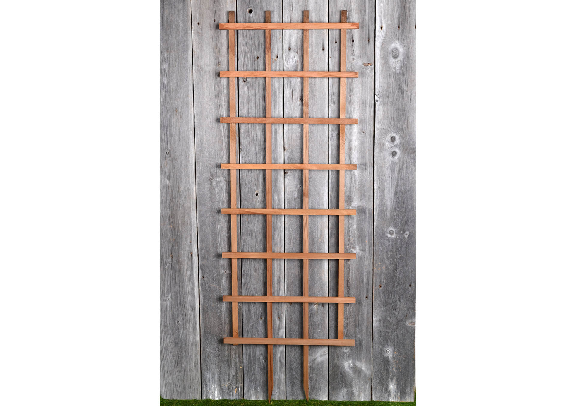 Outdoor Planters for Sale in Minnesota at Bachman's