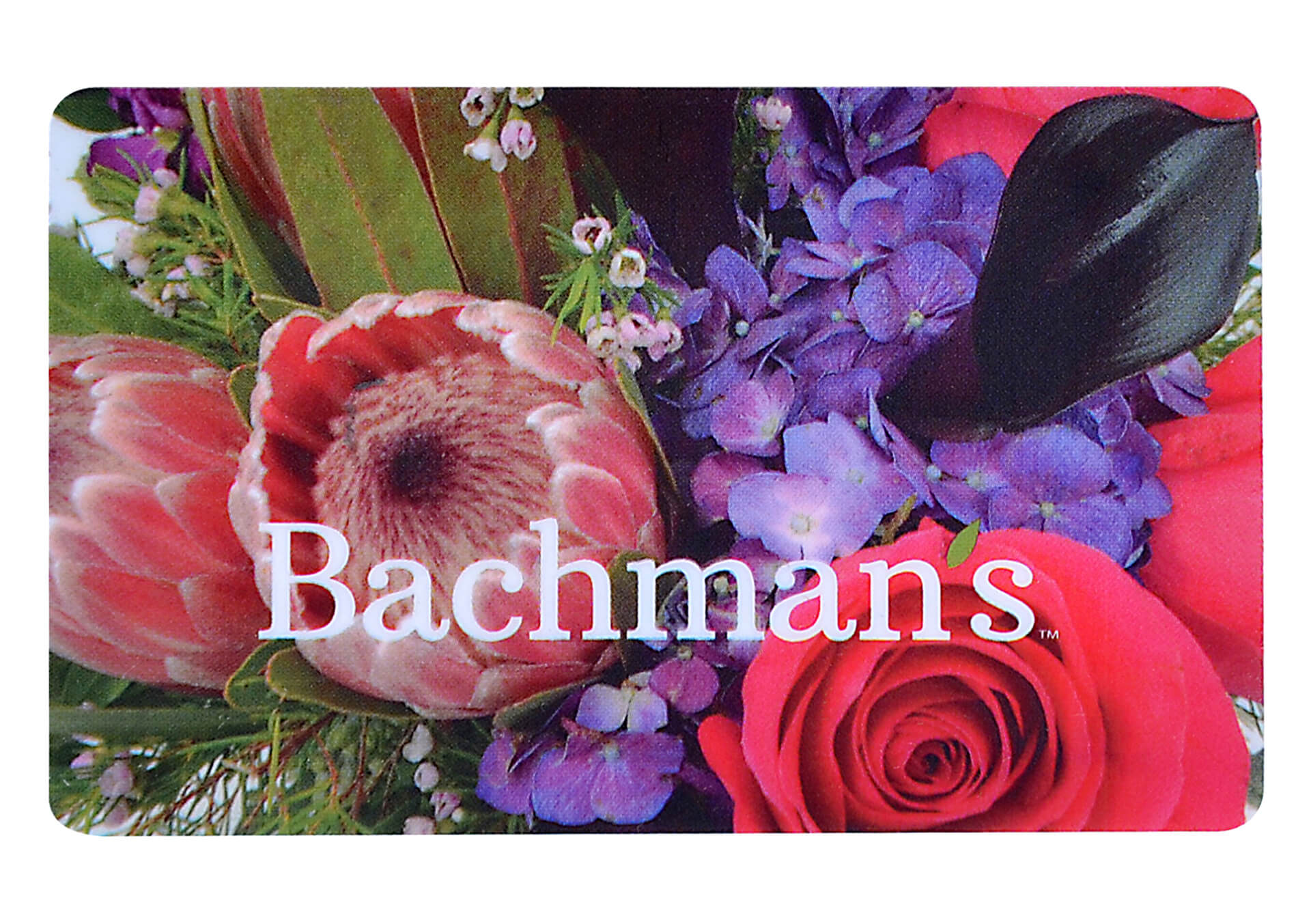 46++ Bachmans floral gift garden plymouth ideas