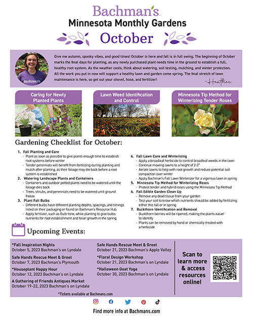 Minneapolis Flower Delivery Bachman's Floral, Home and Garden