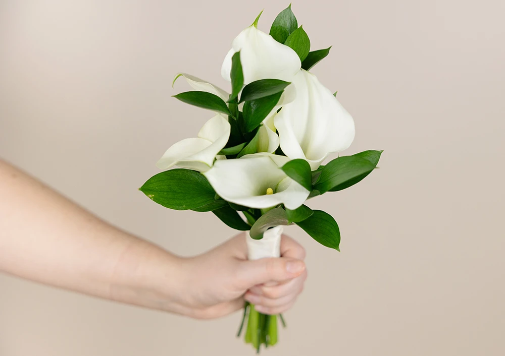 Shop Formal Flowers, Corsages And Boutonnieres | Bachman's