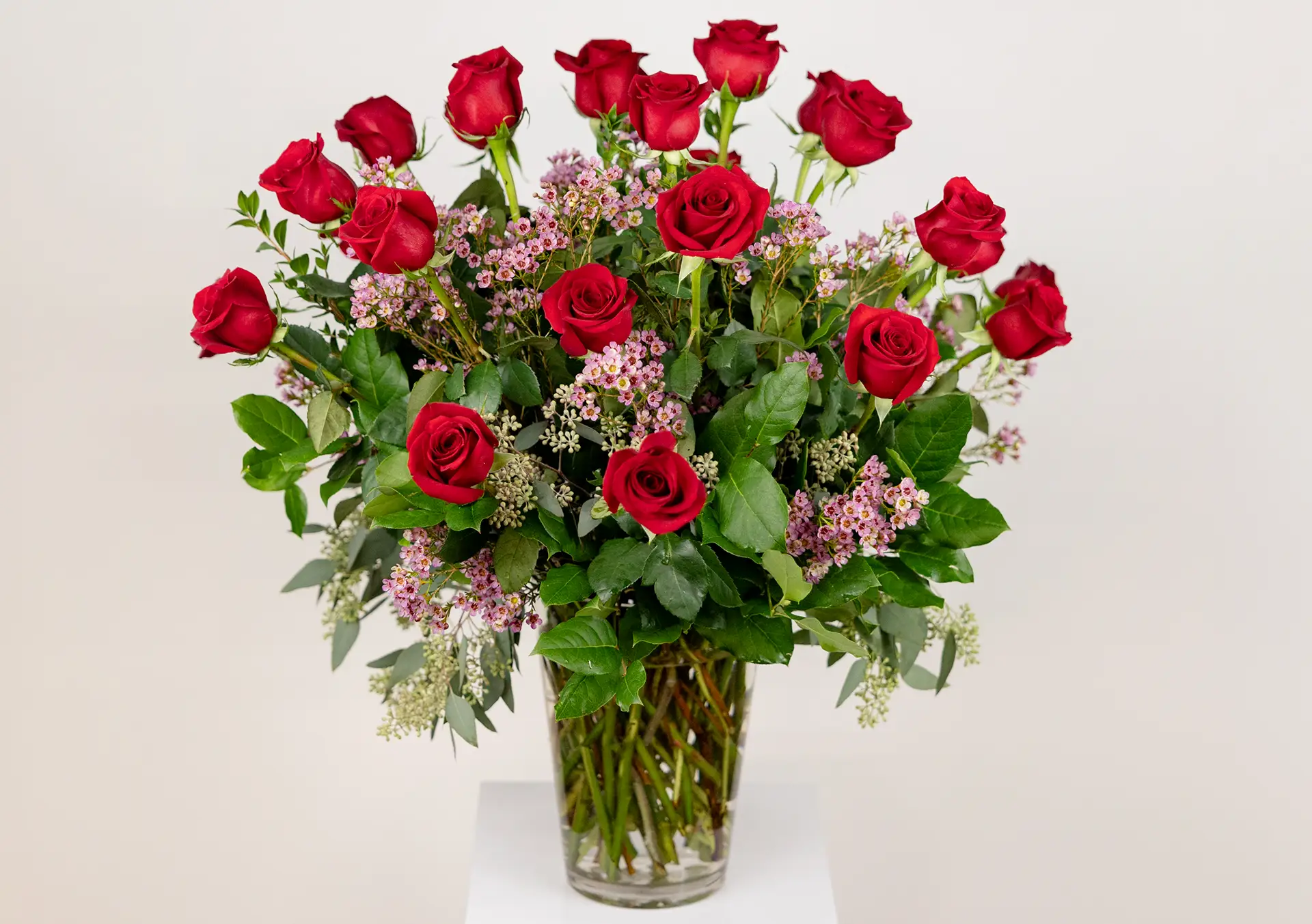 Shop Red Two Dozen Roses for Delivery | Bachman's Minneapolis
