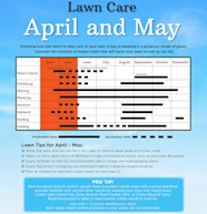 Lawn Care Timeline Cheaper Than Retail Price Buy Clothing Accessories 