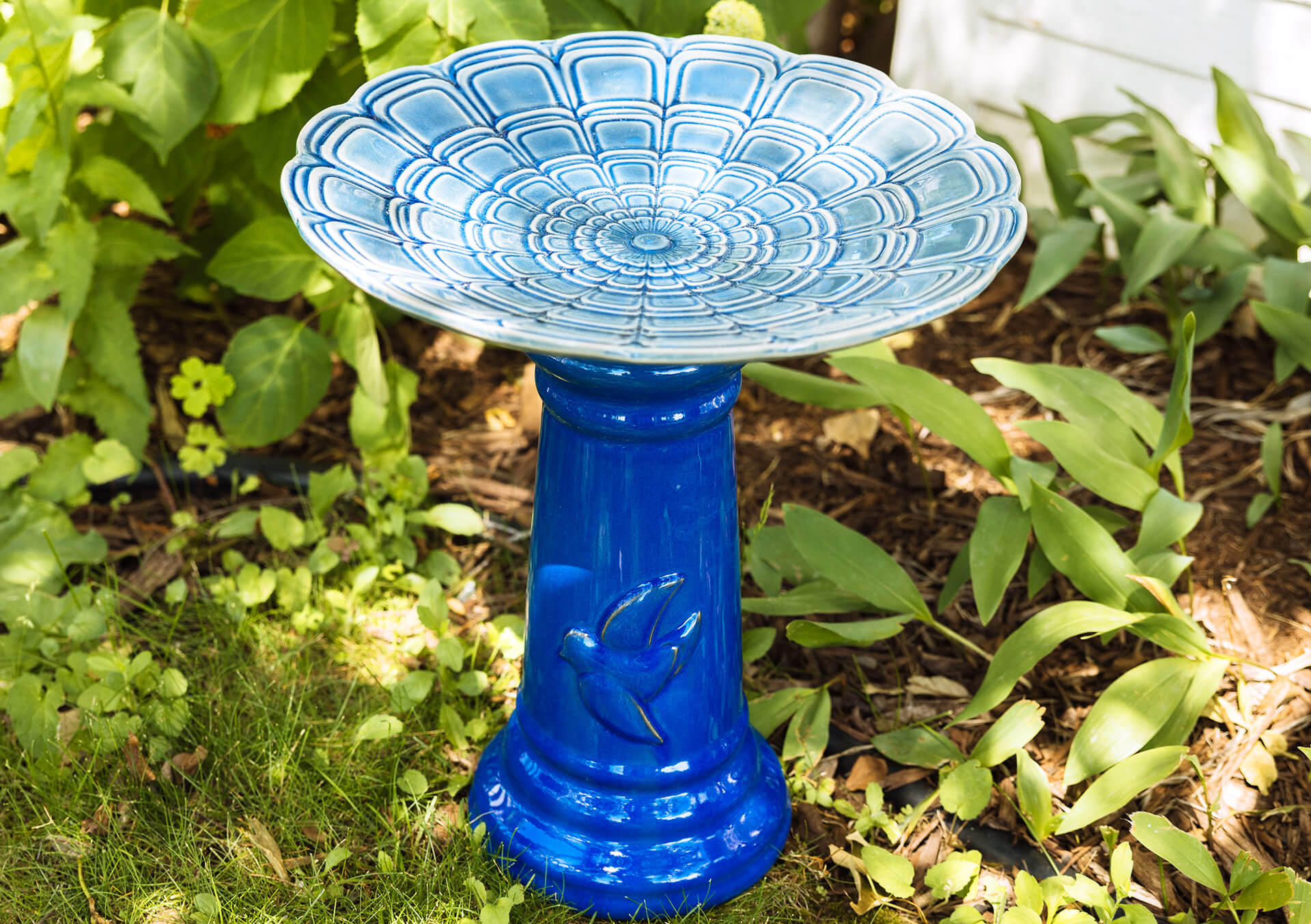 Weekly Sales and Deals at Bachman's | See What's On Sale