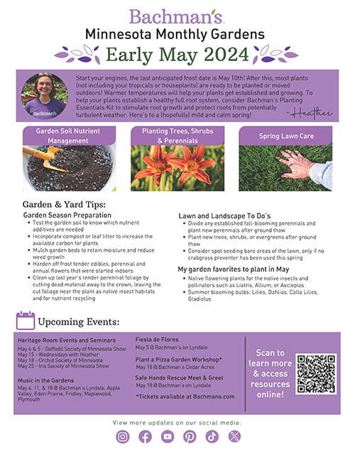 Beautiful Flower Delivery in Minneapolis Bachman's Floral, Home and