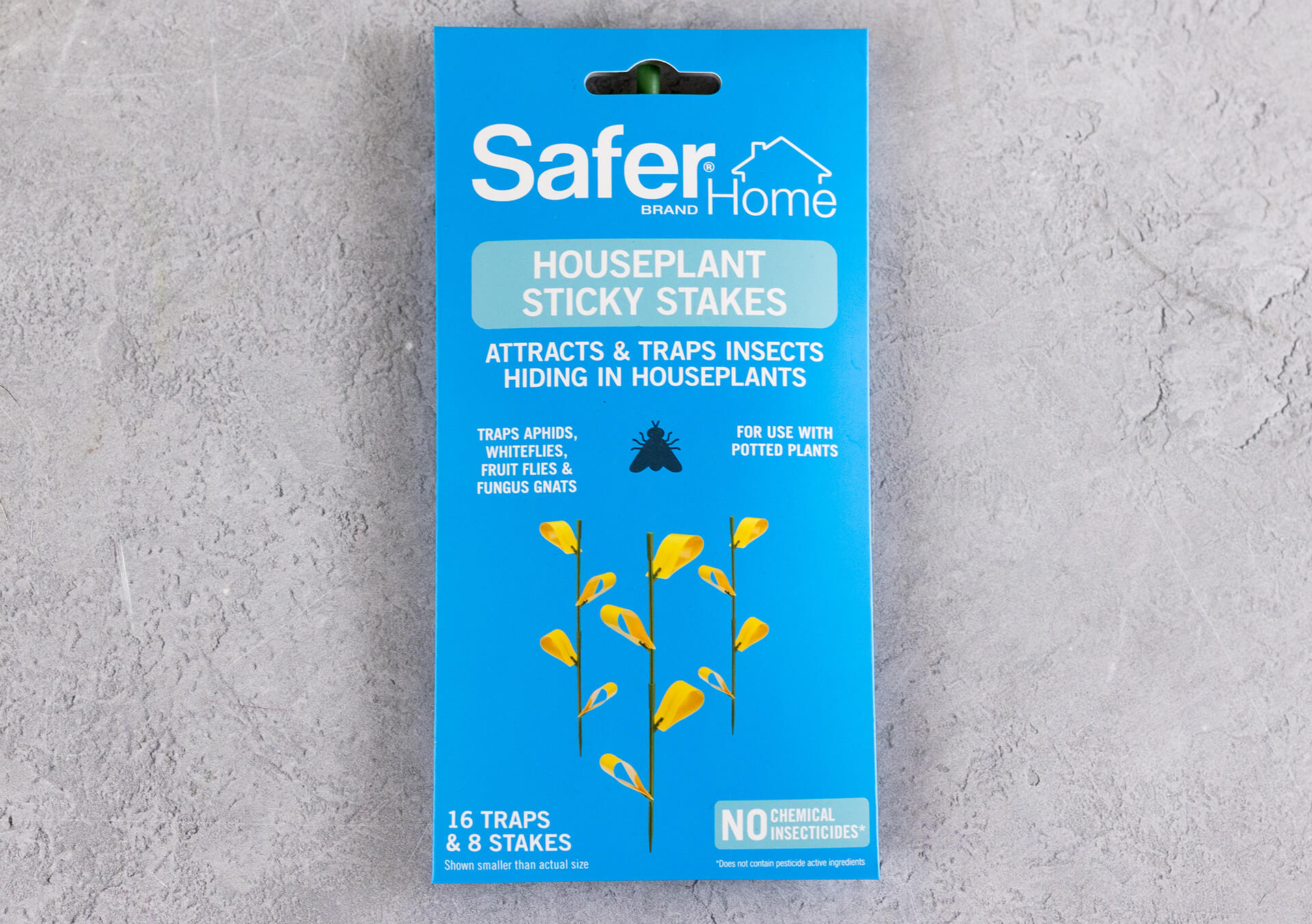 Shop Houseplant Sticky Stakes And More | Bachman's