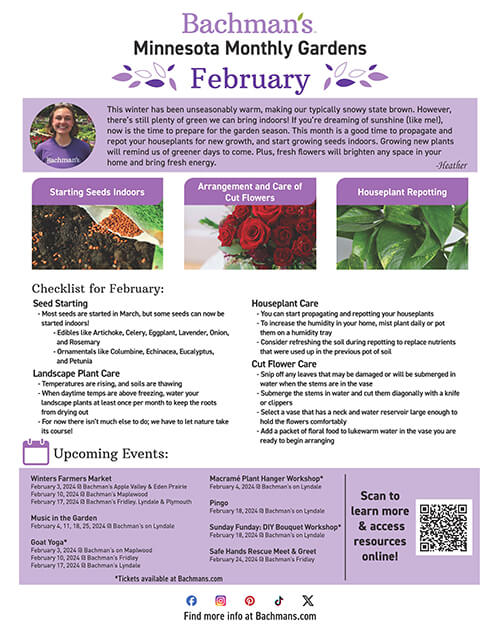 Beautiful Flower Delivery in Minneapolis Bachman's Floral, Home and