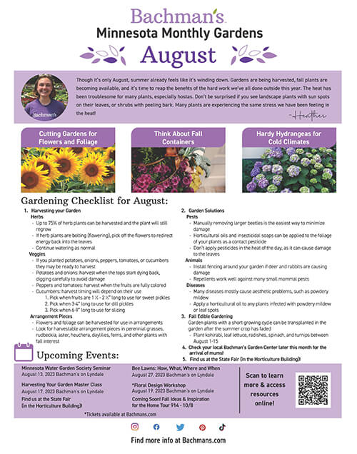 Beautiful Flower Delivery in Minneapolis Bachman's Floral, Home and