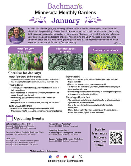 Beautiful Flower Delivery in Minneapolis Bachman's Floral, Home and