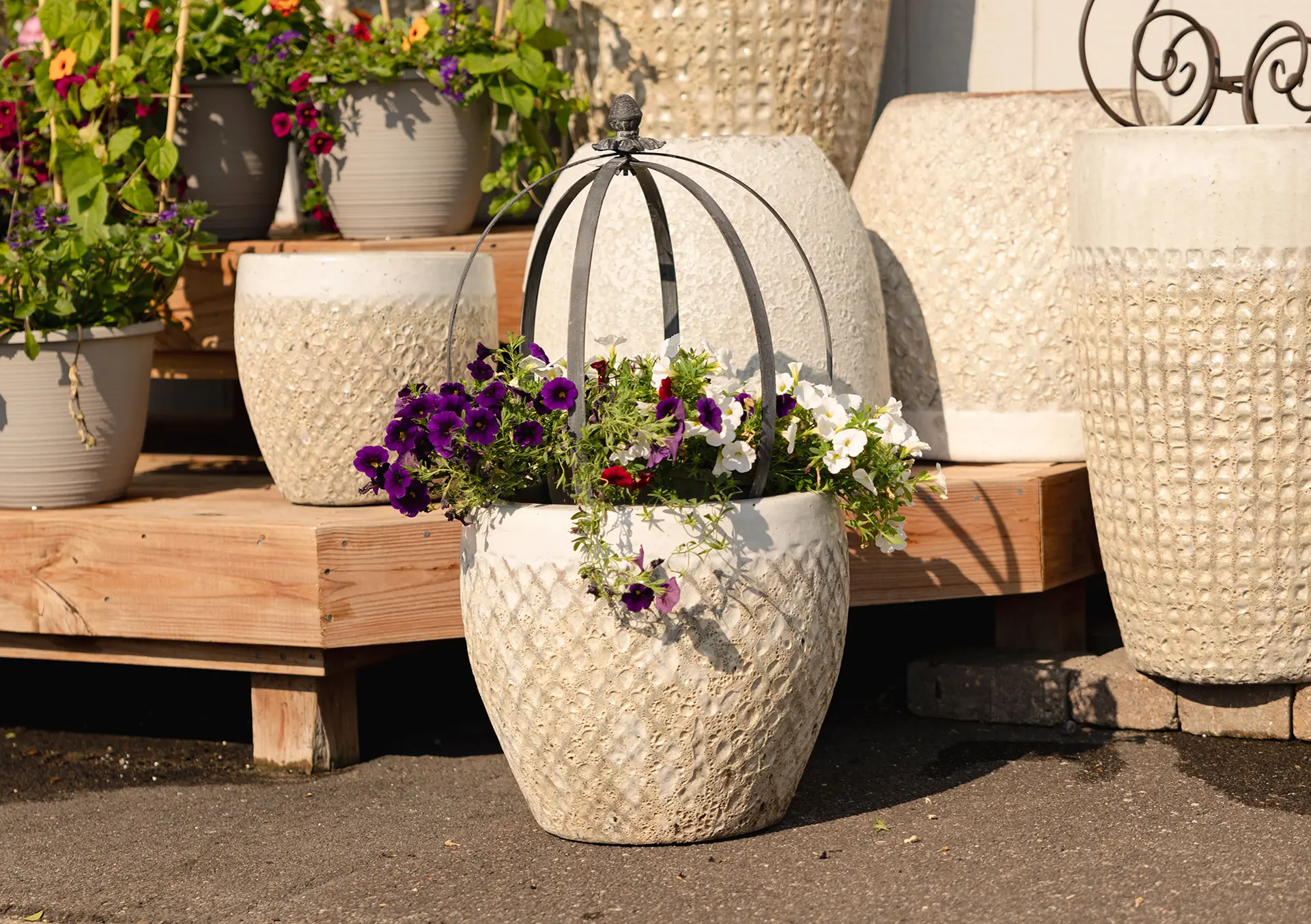 Shop Unique Yard & Garden Décor | Bachman's