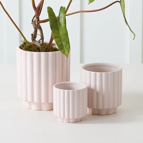 Indoor Decorative Pots and Planters for Sale in Minnesota at Bachman's