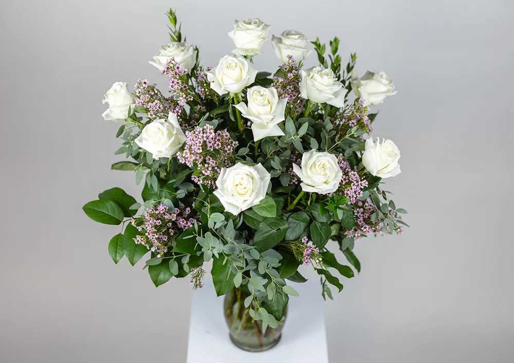 rose おまとめ同梱 Shop White Dozen Roses for Delivery | Bachman's Minneapolis