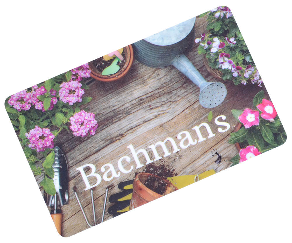 Gift Card Fundraising With Bachman S Gift Card Fundraising With Bachman S