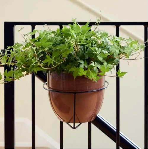 Floating Railing Plant Hanger by Bloem | Narrow Spindle Fit