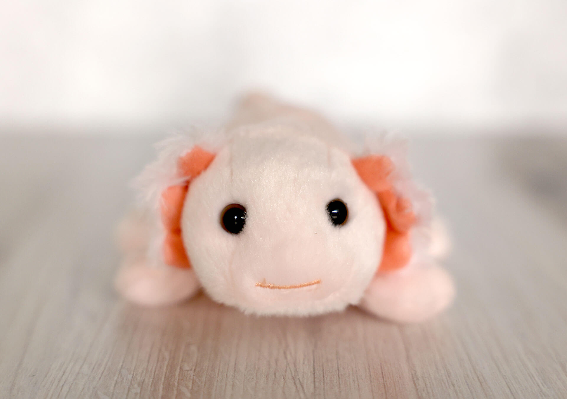 Shop Stuffed Animals And Plush Toys For Kids Bachman's