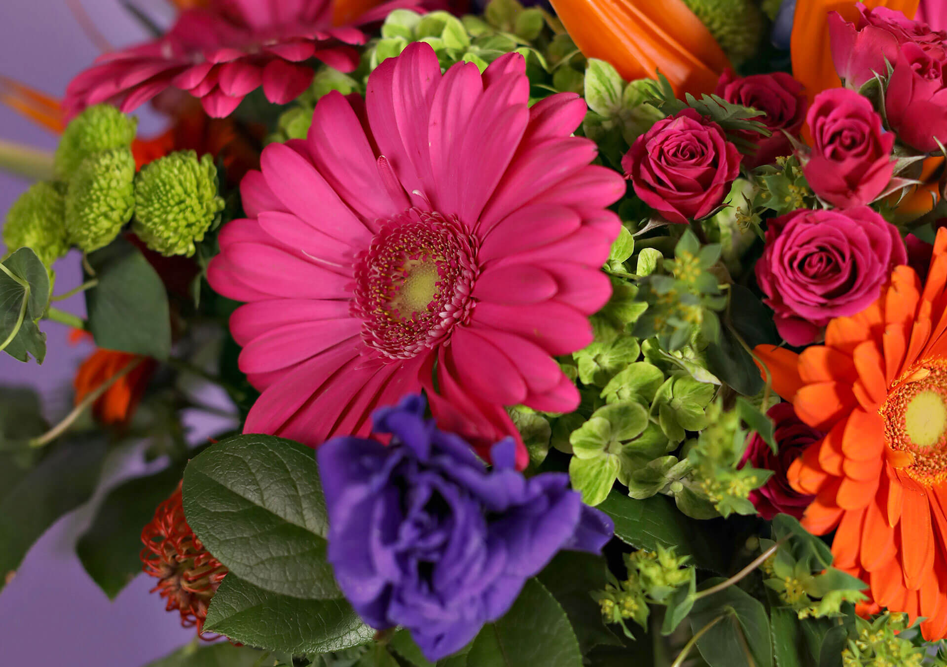 Beautiful Flower Delivery in Minneapolis | Bachman's Floral, Home and ...