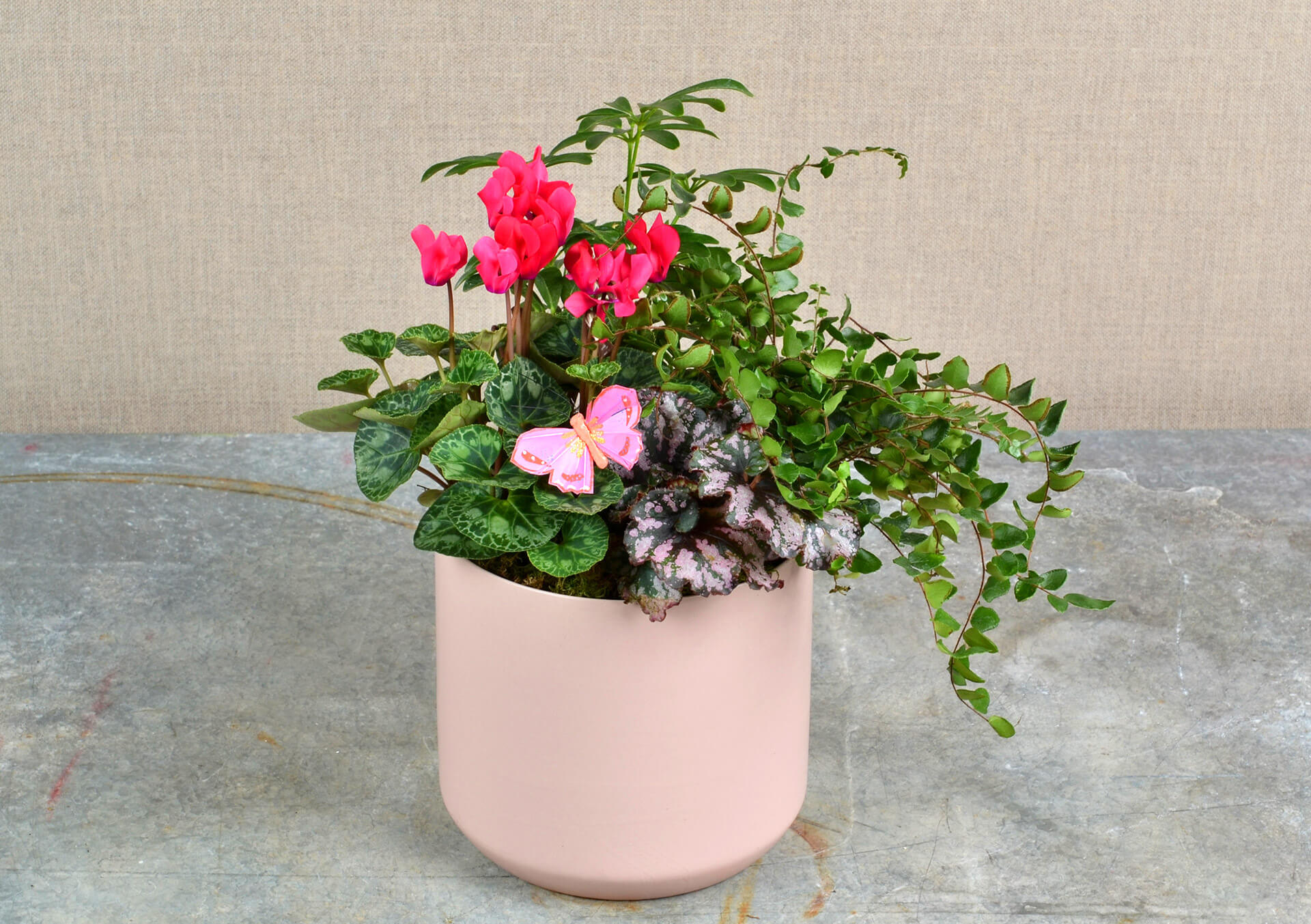 indoor plant mix Indoor Plant Soil Mix - 8 quarts main image 1