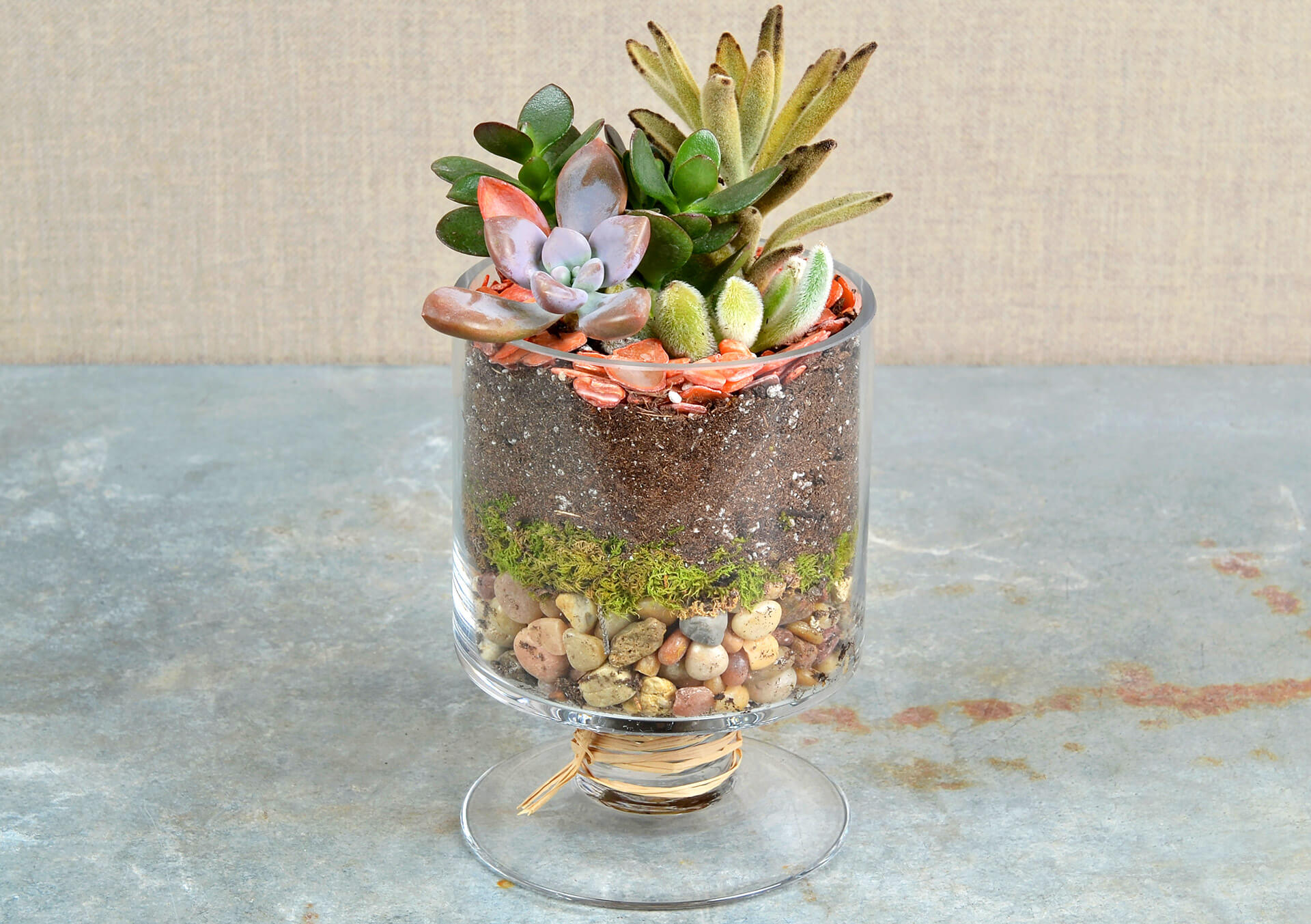 small plant pots plastic Faux Tomato Plant in Plastic Pot main image 1