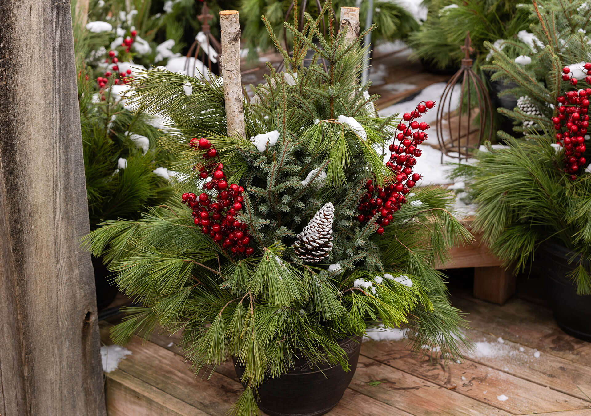 Beautiful Flower Delivery in Minneapolis Bachman's Floral, Home and