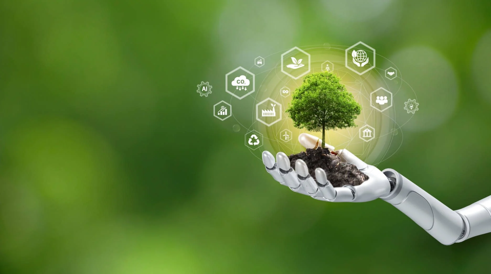 Sustainability in Tech: Building a Greener Digital Future