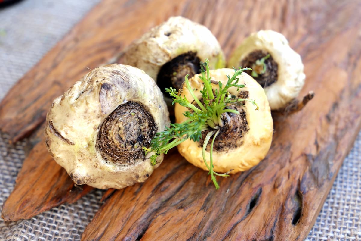 Maca root properties, side effects, benefits, and dosage