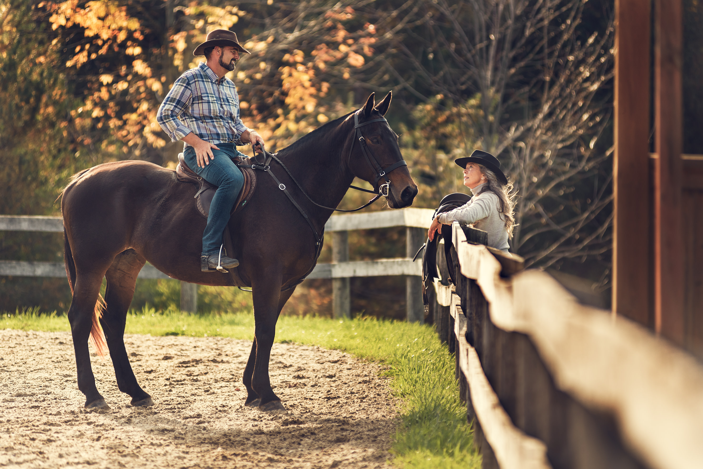Man on horse talking to woman 