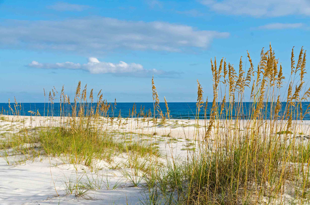 Engel & Völkers | Gulf Shores