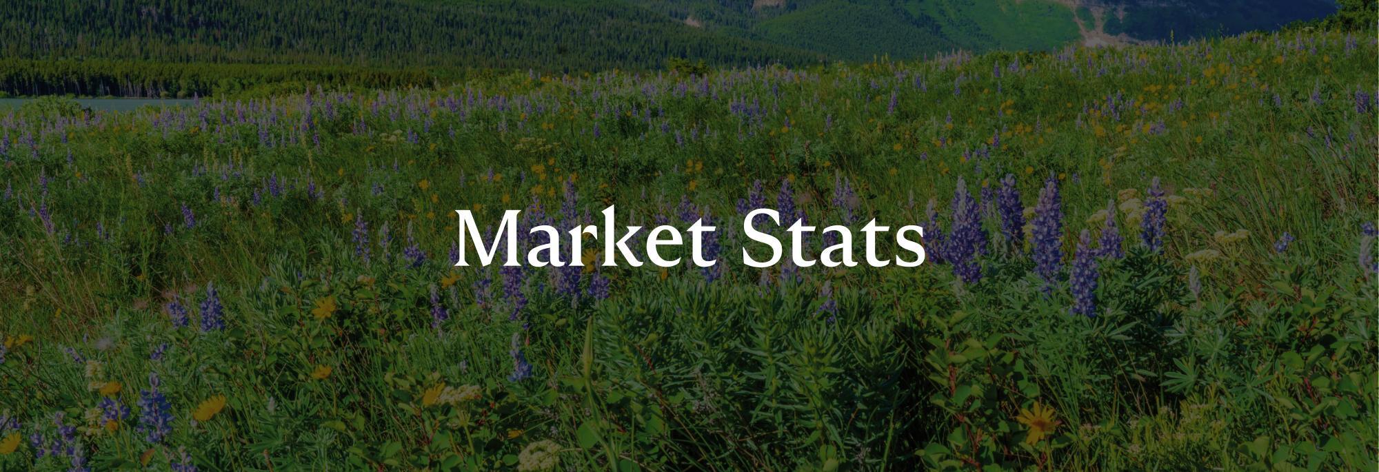 March Market Update: Momentum Builds Across the Region