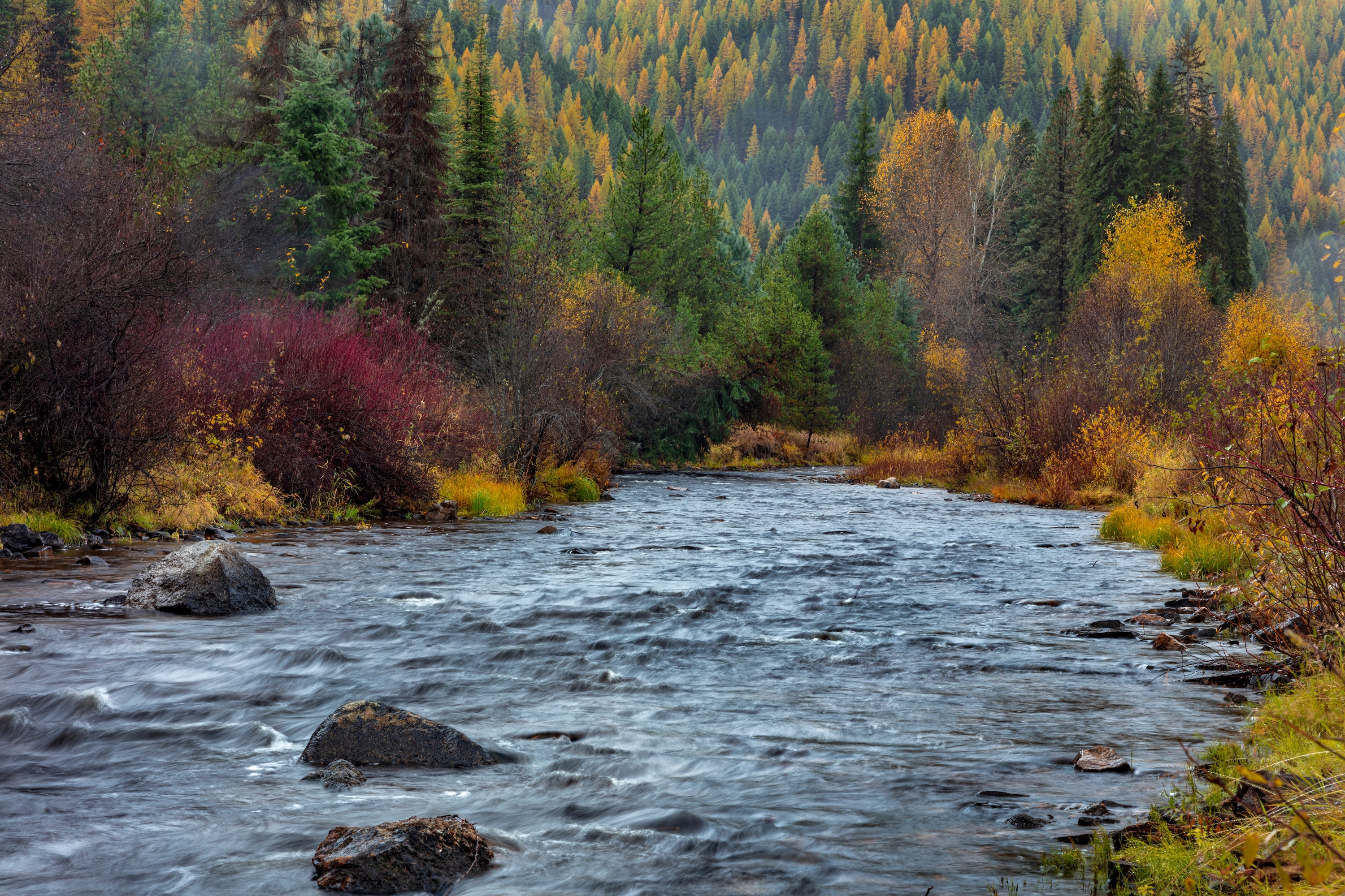 Falling into Autumn in Western Montana, Spokane, and Coeur d’Alene