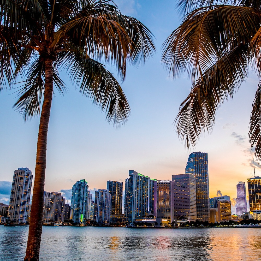 Discover Miami: The Magic City