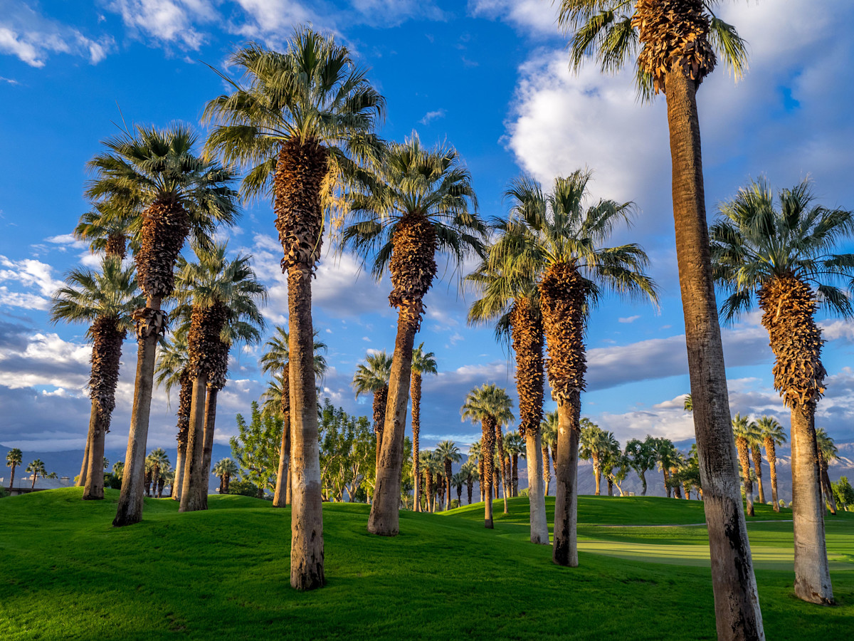 Palm Desert Enterprise