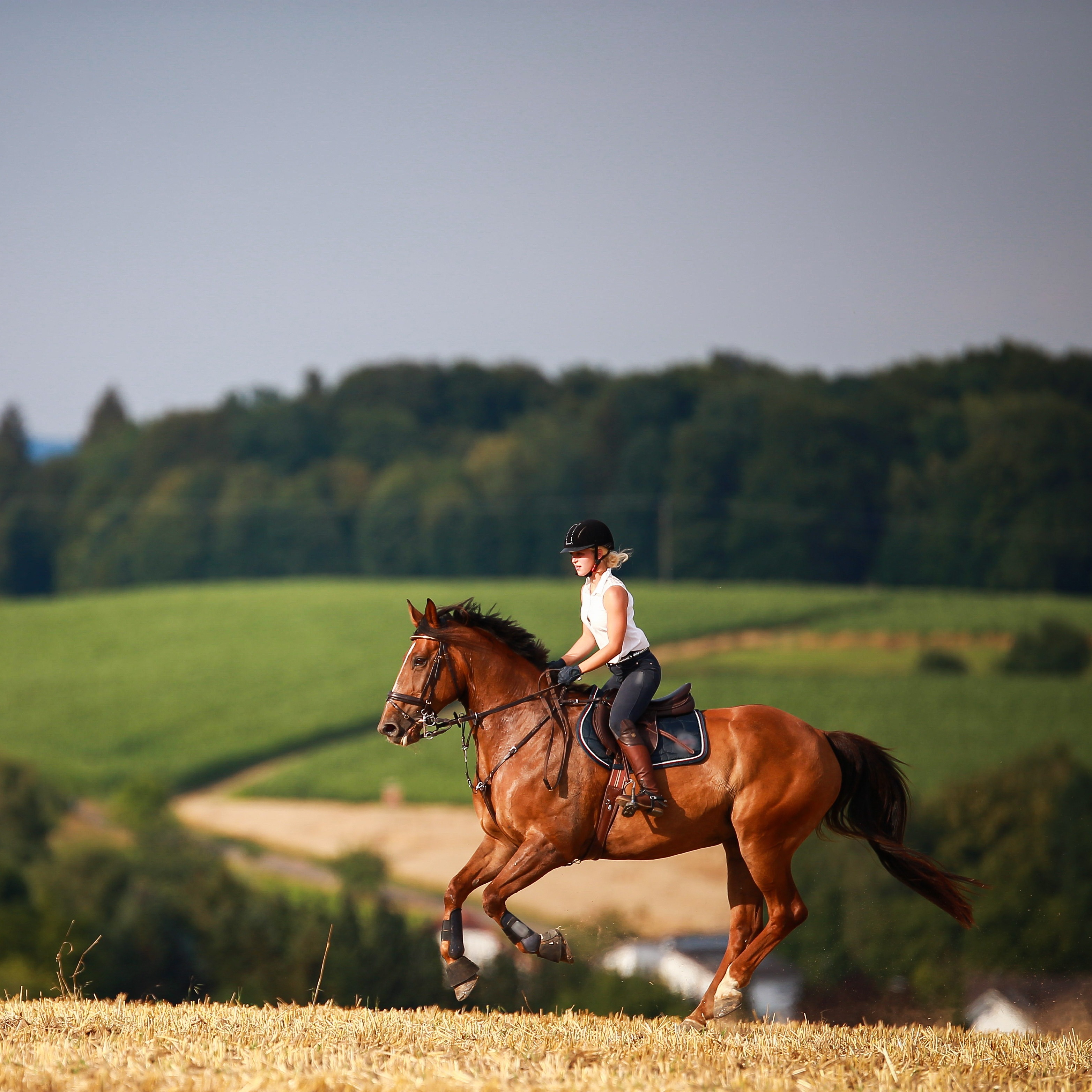 xxx Parrish Avenue NE, Otsego, MN, 55330, US | Land For Sale