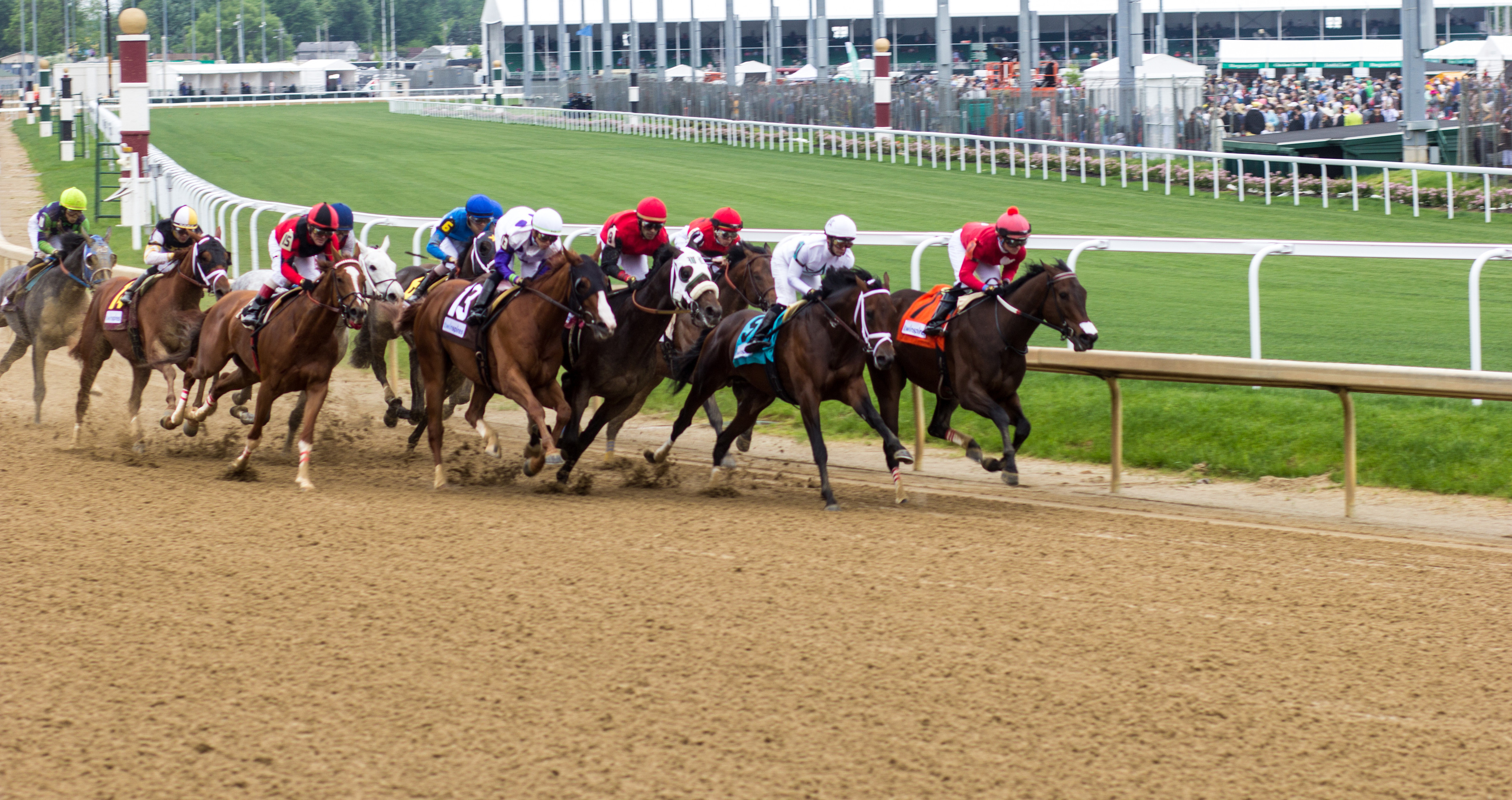 Horses racing