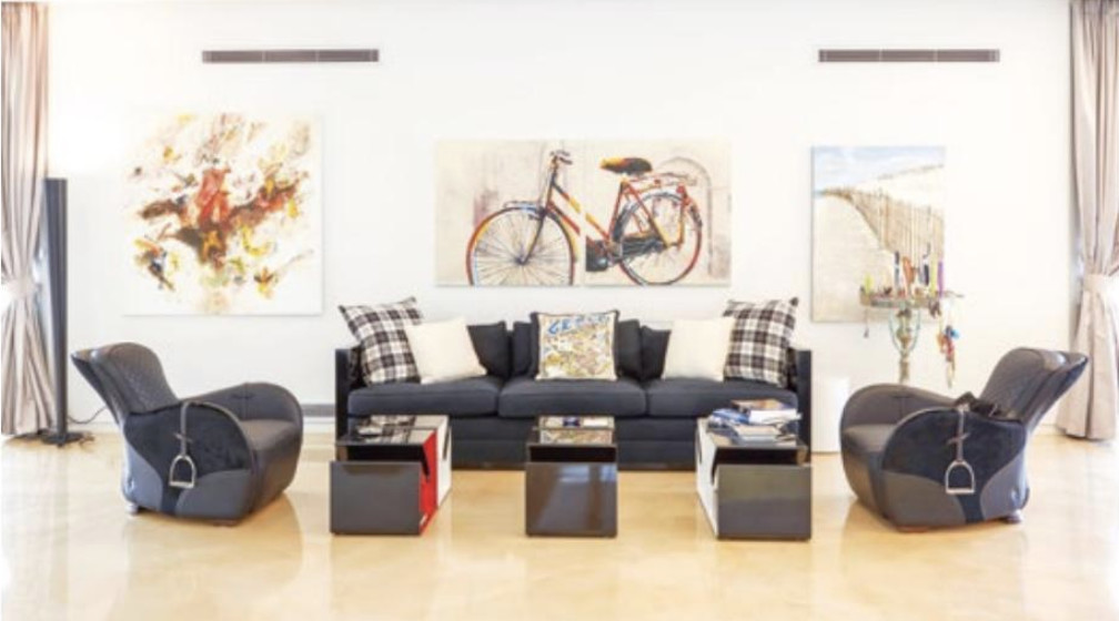 Living room with leather couches