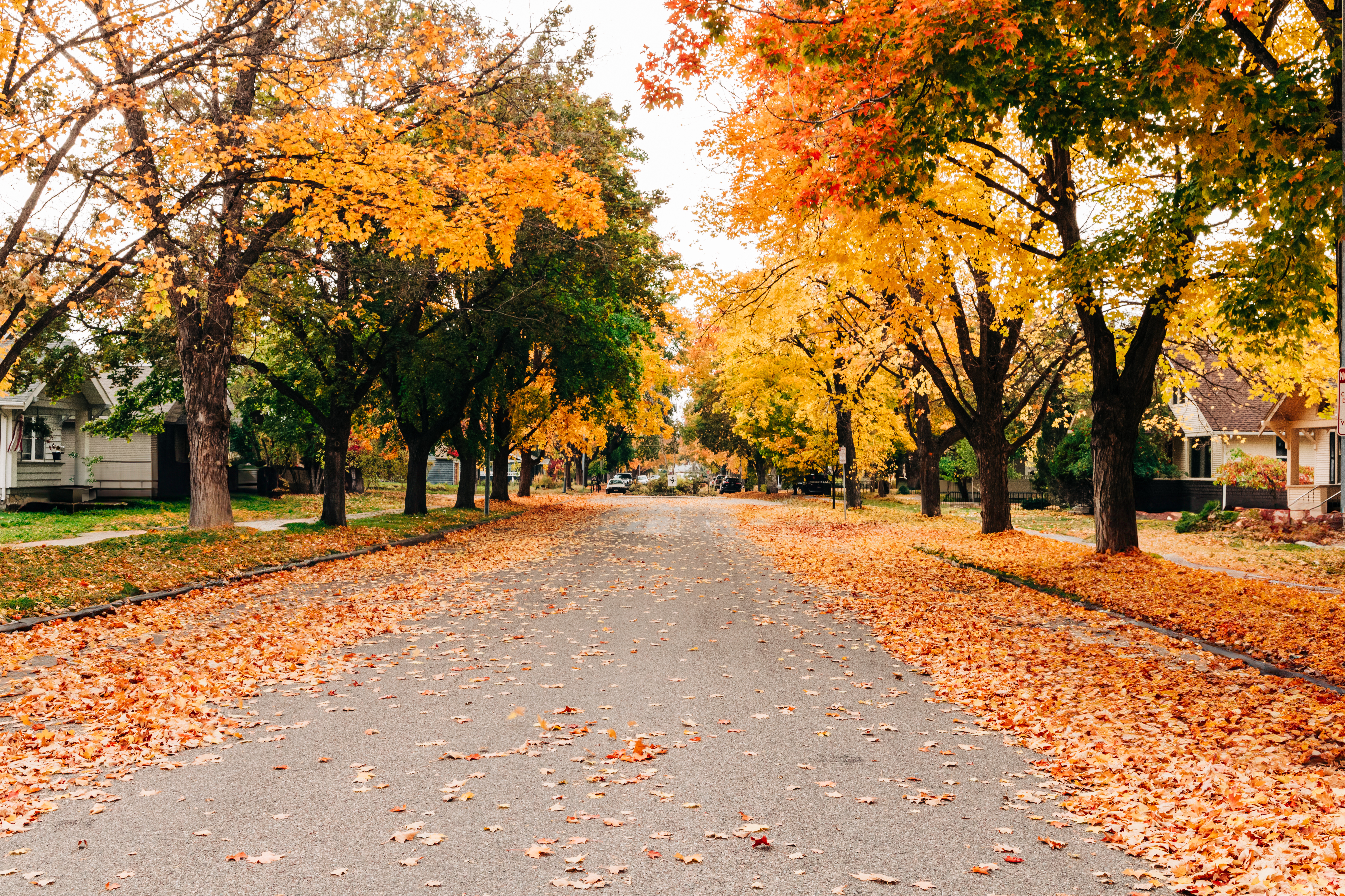 Market Snapshot: Last Month's Real Estate Trends Across Our Regions