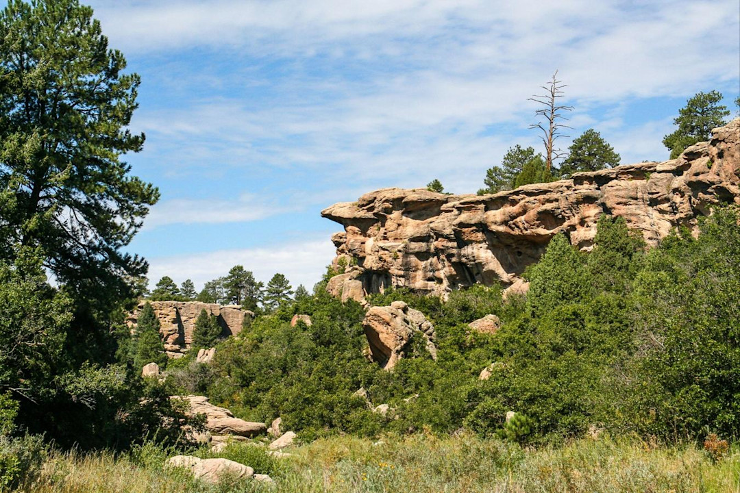 Engel & Völkers | Castle Pines | Franktown