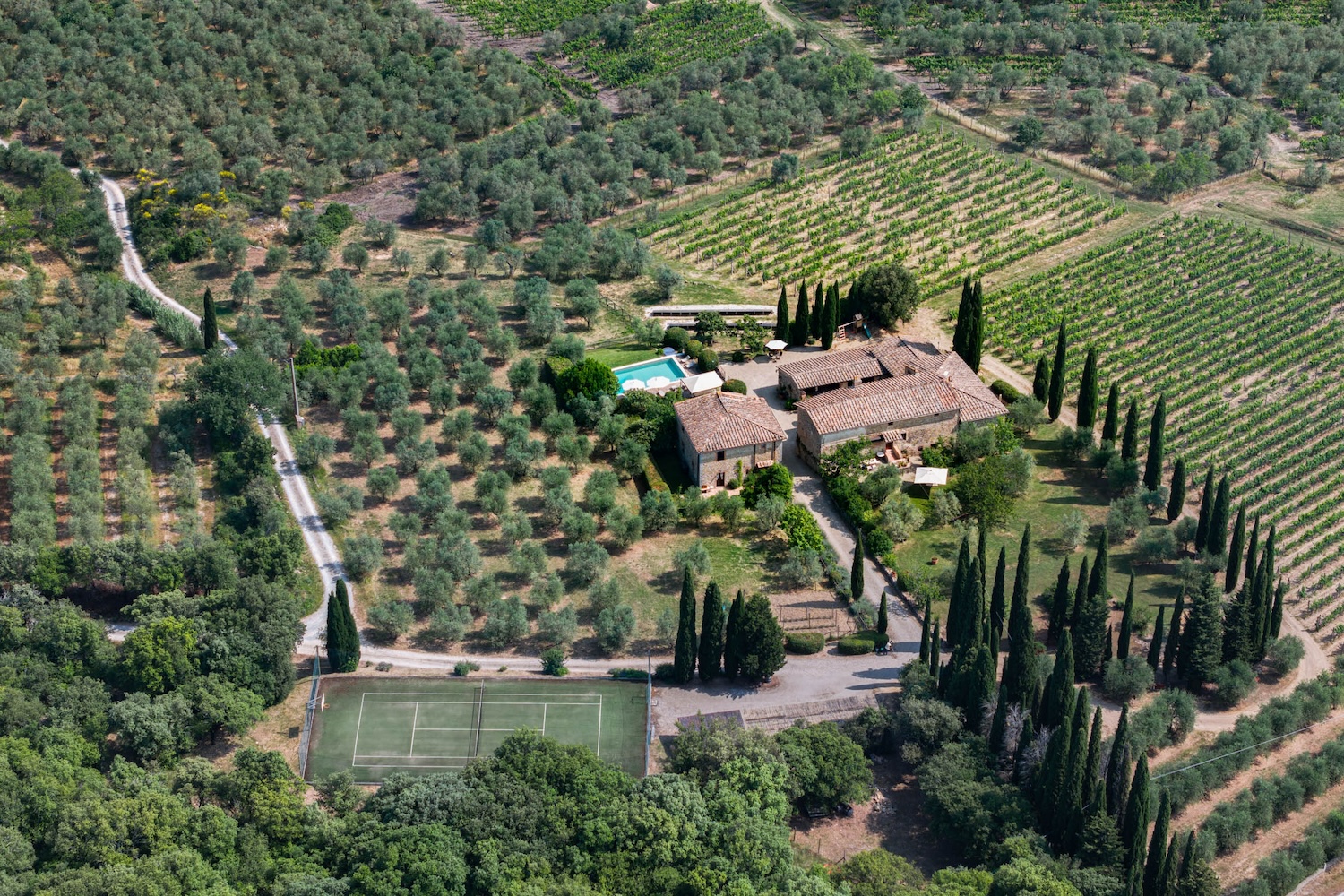Dreaming Among the Vines: Explore the World’s Most Exquisite Vineyard Estates