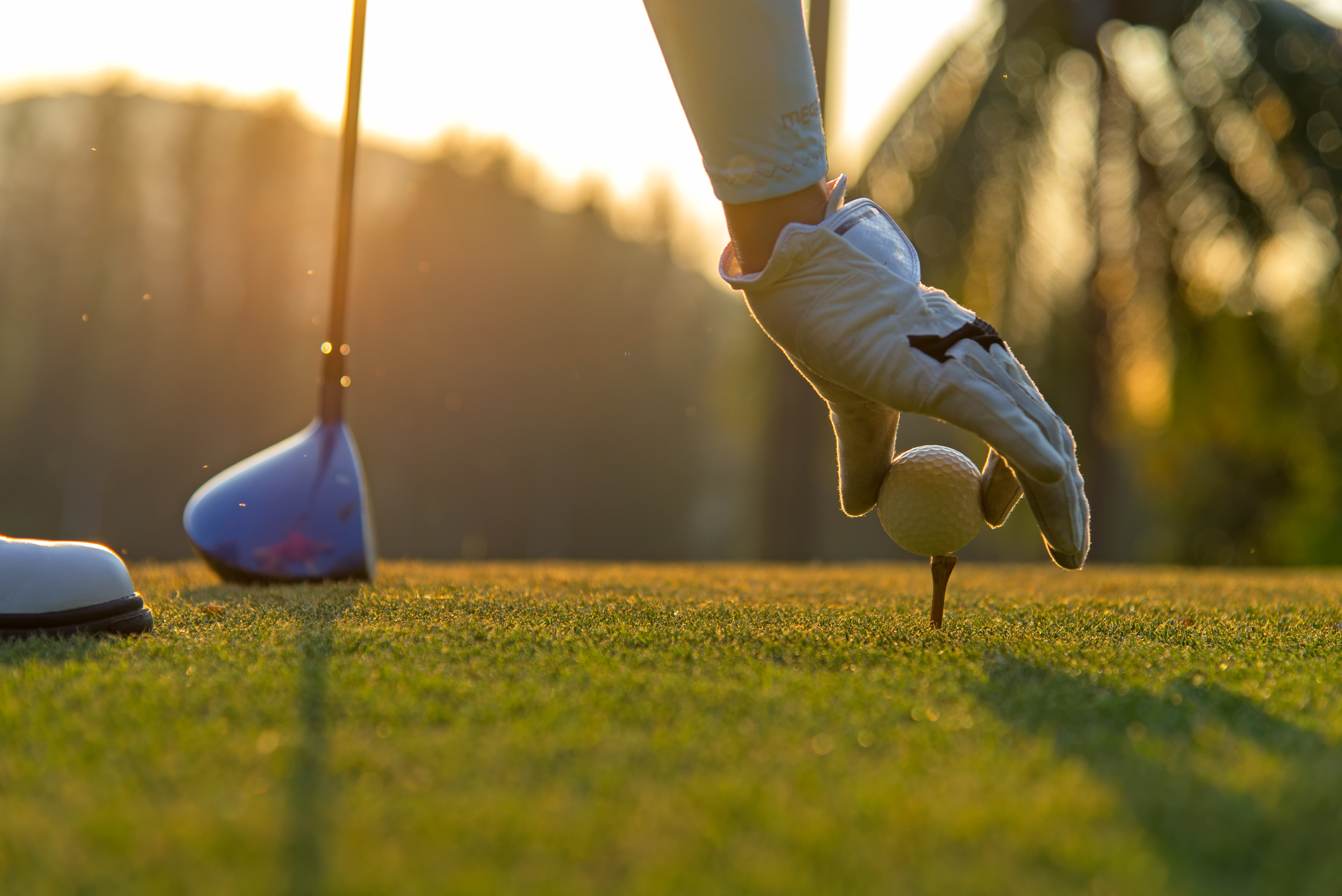 Setting up a golf ball. White glove. 