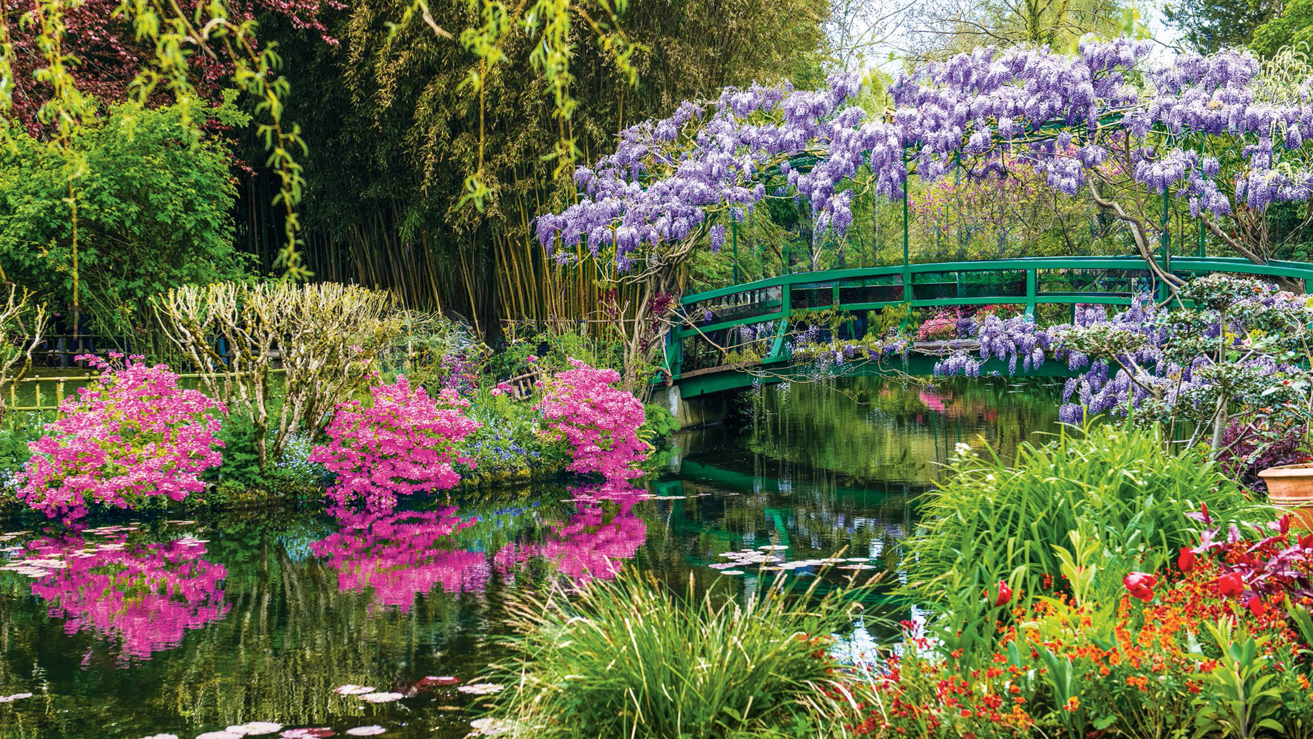 GREEN LIVING — The New Issue of GG is here!