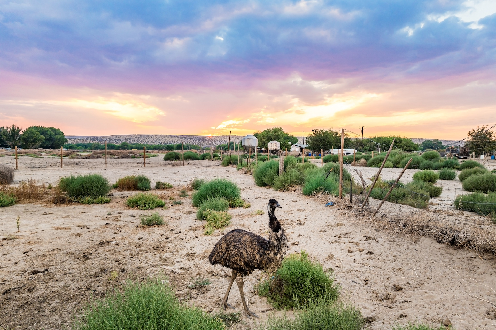Western Legacy: Roy Rogers’ Iconic Ranch