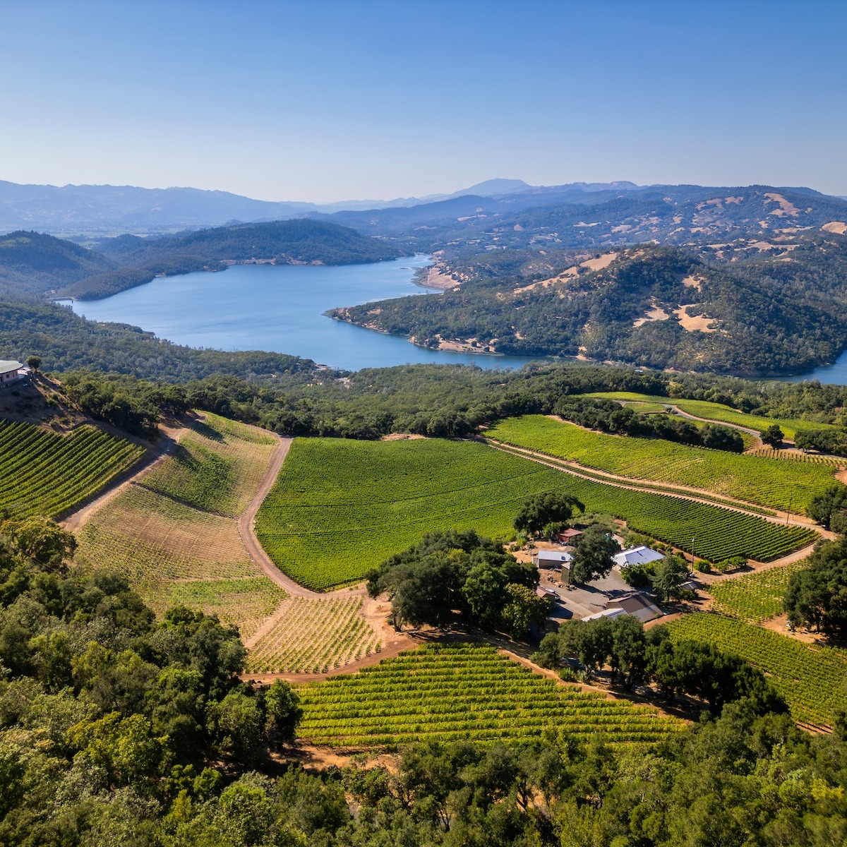 Pritchard Hill: Napa Valley’s Quiet Apex